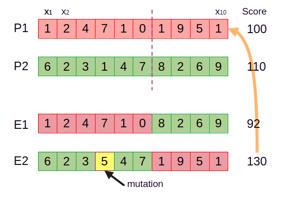 croisement et mutation