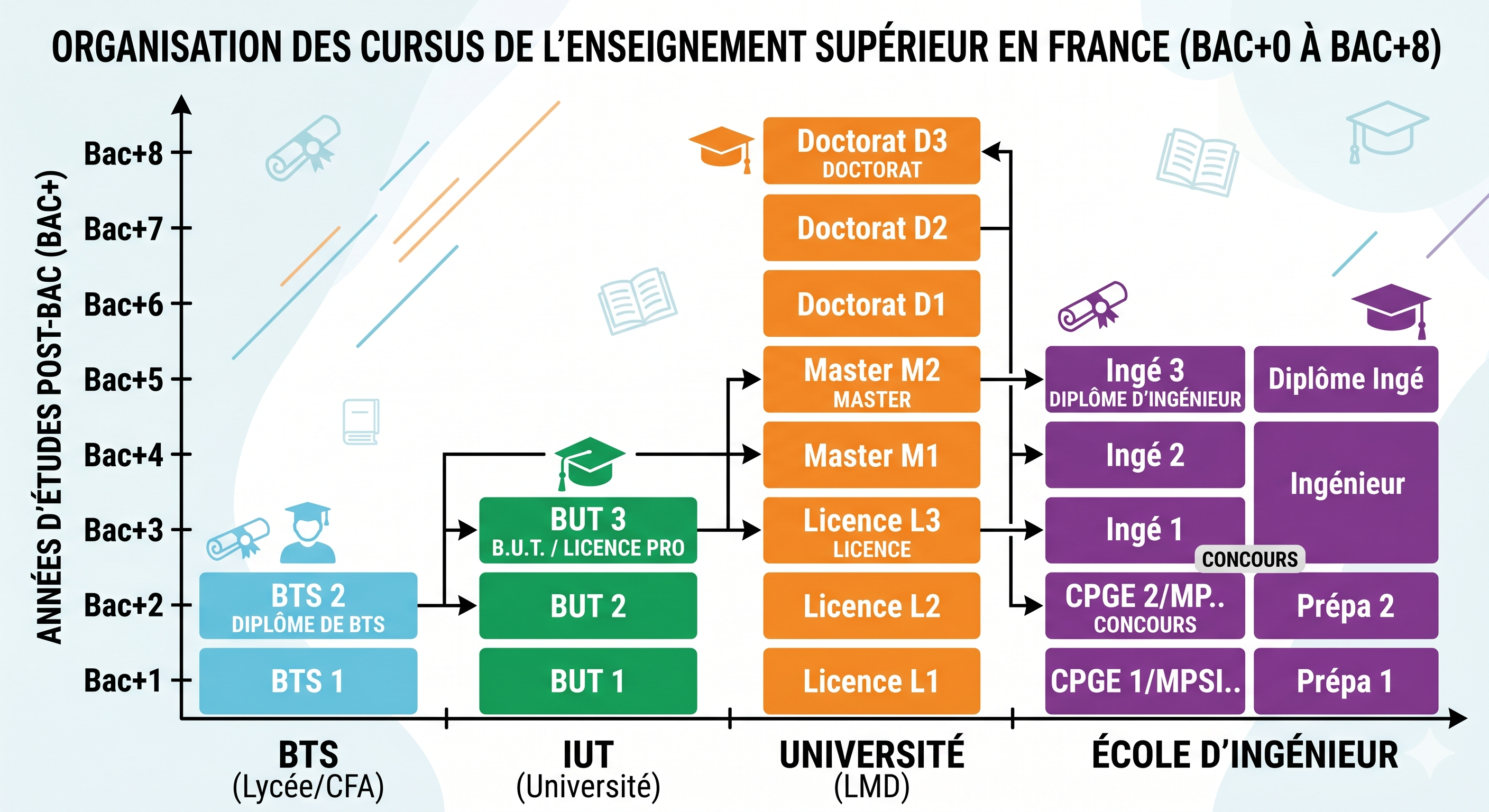 Cursus bac+1 à bac+8